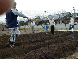 2003年4月に初めて栽培を始めた頃の様子。